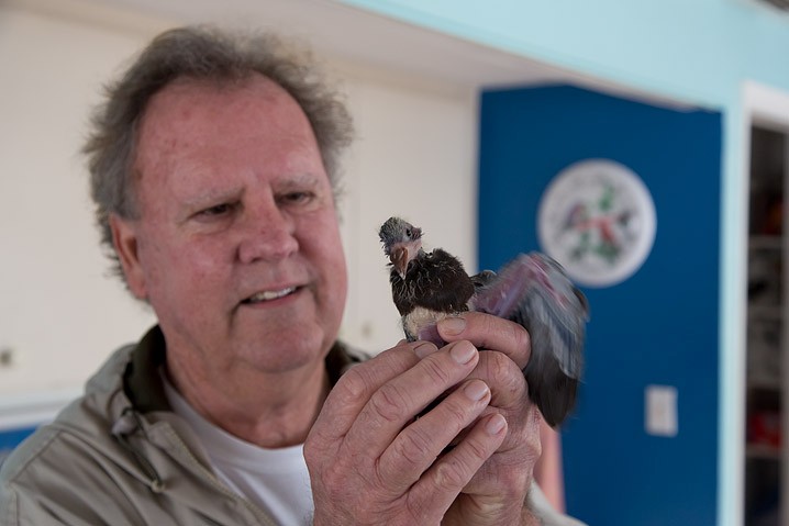 Reportage Seabird Sanctury